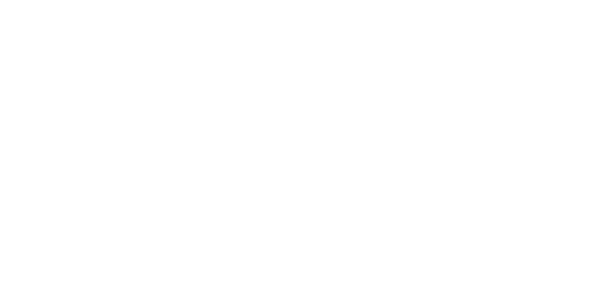 Birel ART