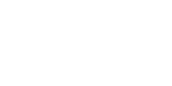 BorgWarner