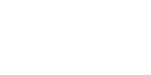 Next Gen Sponsons