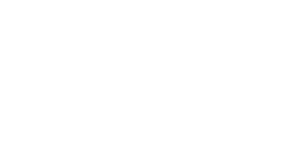 RaceFacer Timing Systems